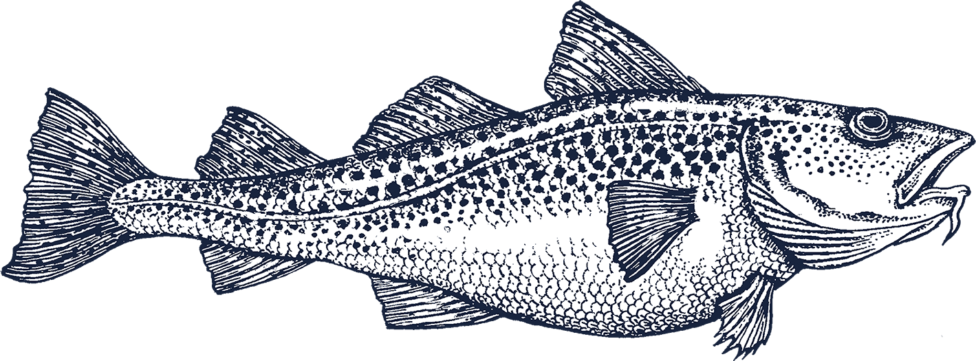 Atlantic Cod Fishing PNG Images, Transparent Atlantic Cod Fishing Images